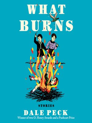 cover image of What Burns